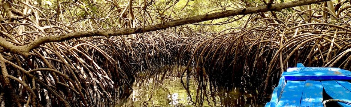 Sur les chemins du monde…