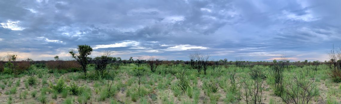 Sur les chemins du monde…