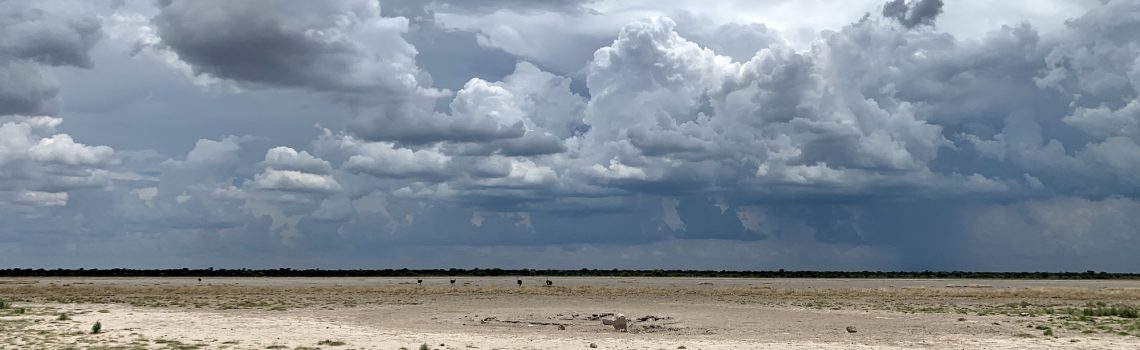 Sur les chemins du monde…