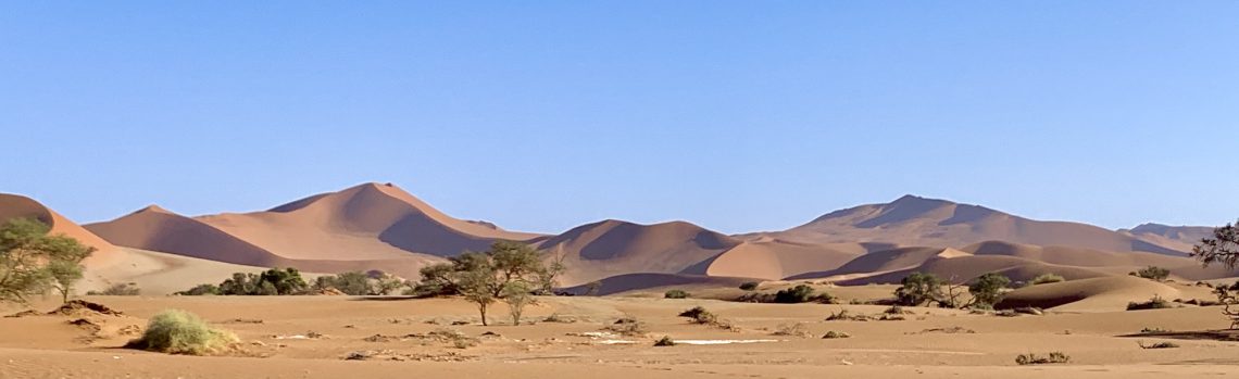 Sur les chemins du monde…