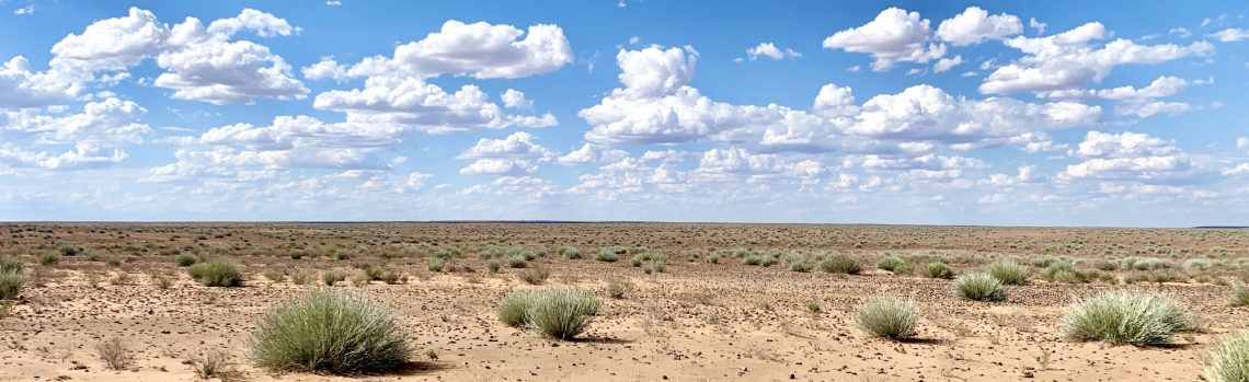 Sur les chemins du monde…