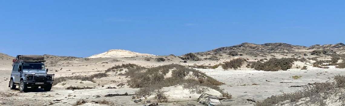 Sur les chemins du monde…