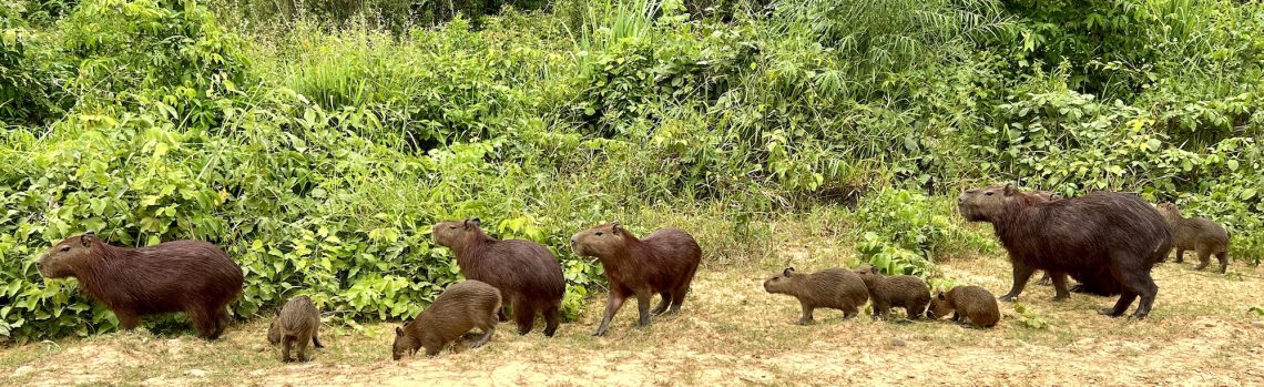 Sur les chemins du monde…
